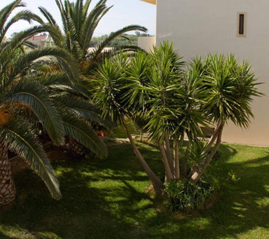 Olga Suites Maleme Exteriér fotografie